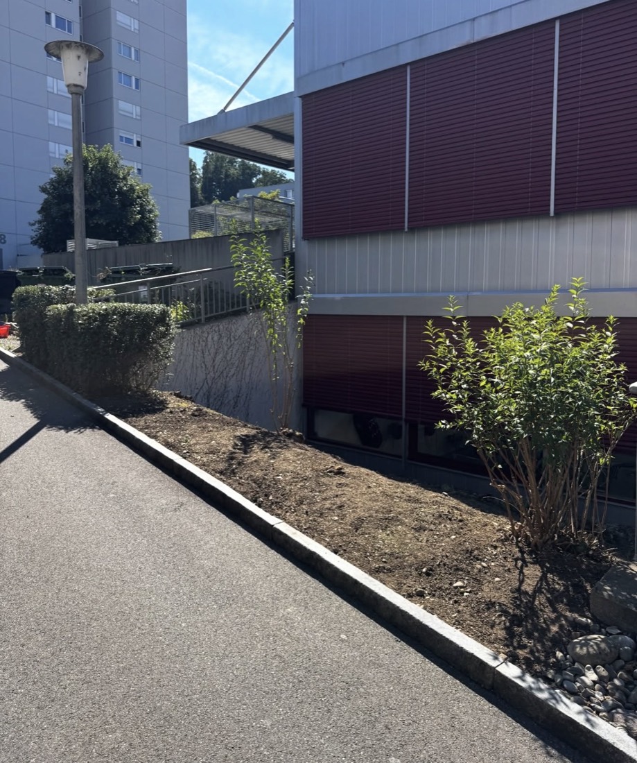 Aufgeräumte, neu bepflanzte Rabatte nach dem Gartenunterhalt-Einsatz