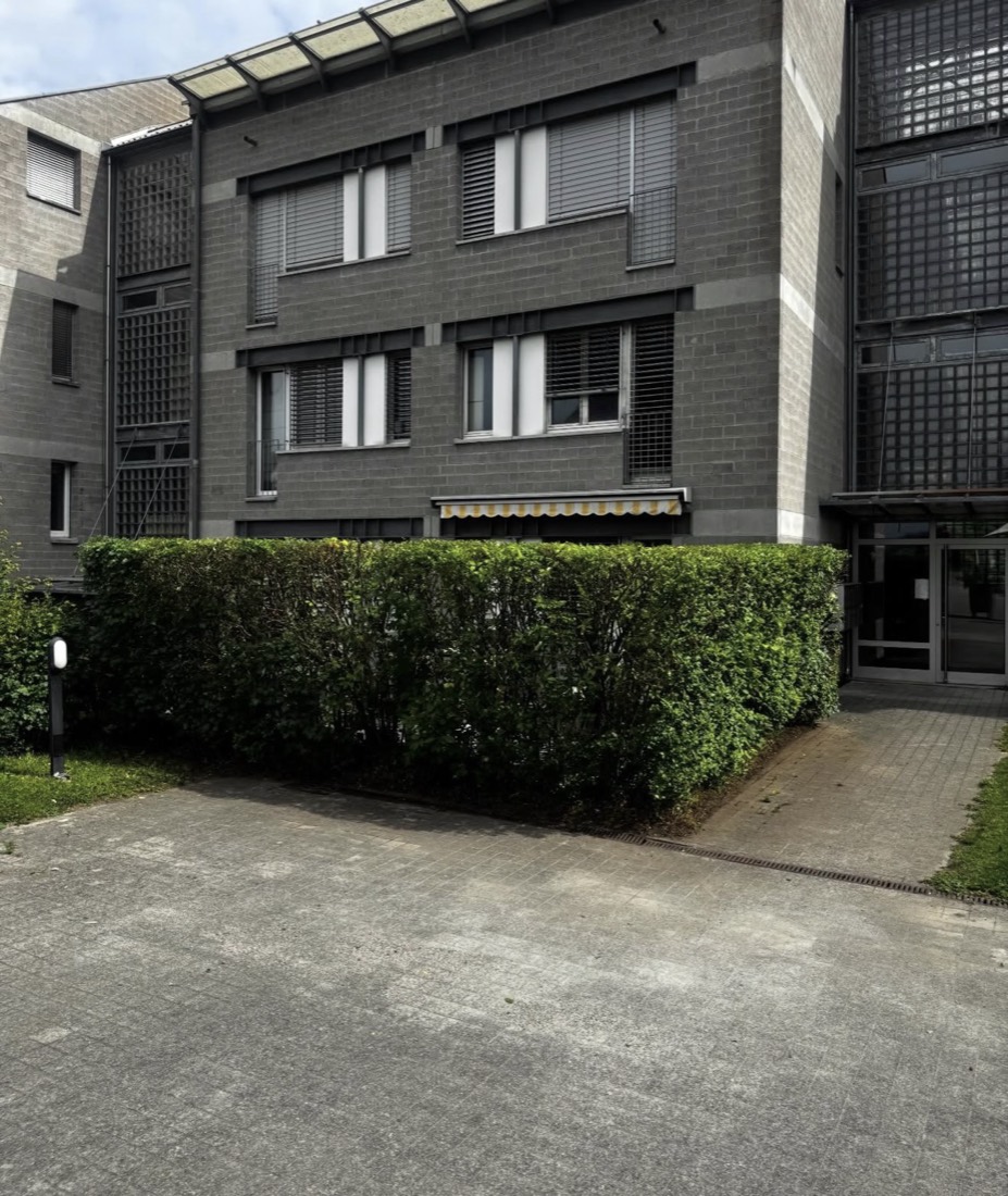 Getrimmte Hecke bei einem Mehrfamilienhaus – Gartenunterhalt von Stefanov 24